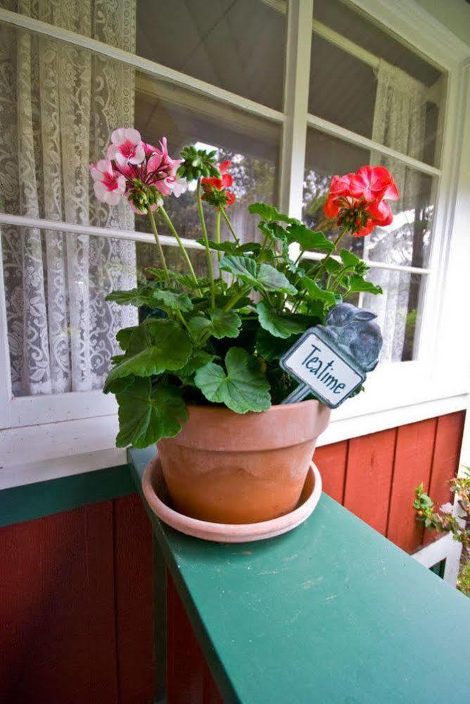 Volcano Teapot Cottage Kültér fotó